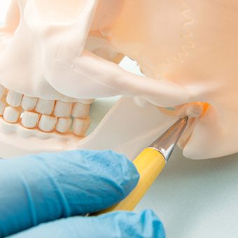 Pen pointing to the TMJ area on skull model